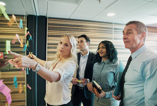 The Role of the Manager Elearning