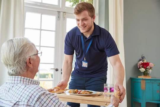 Food Hygiene, Nutrition and Hydration in Social Care Elearning